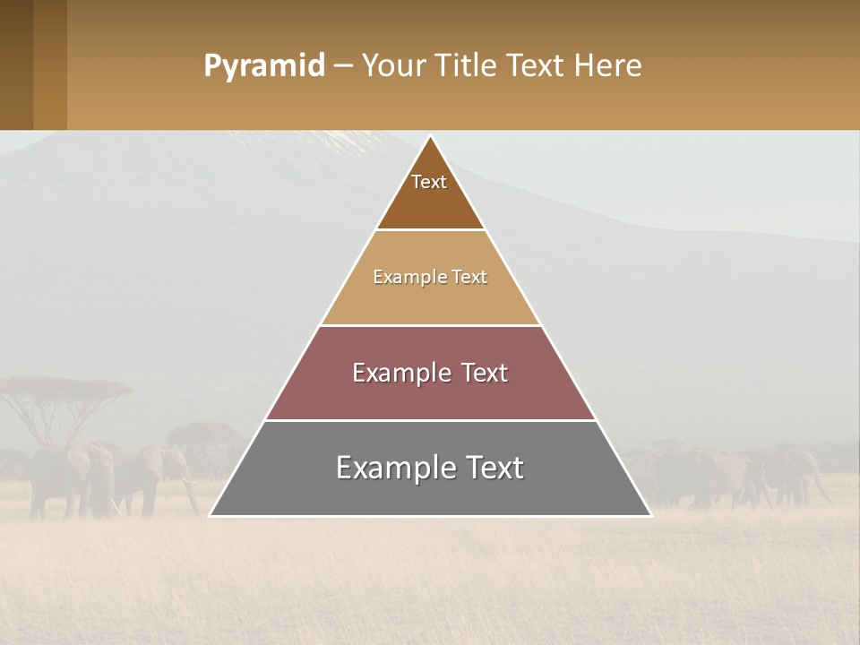 Color Herbivore Matriarch PowerPoint Template