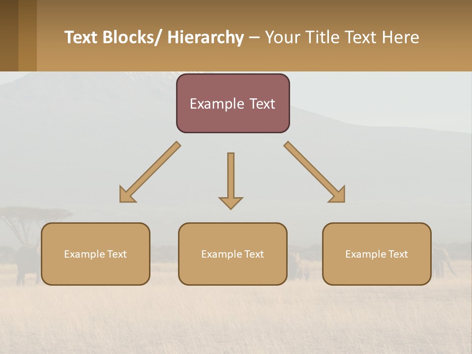 Color Herbivore Matriarch PowerPoint Template