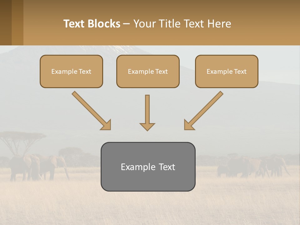 Color Herbivore Matriarch PowerPoint Template