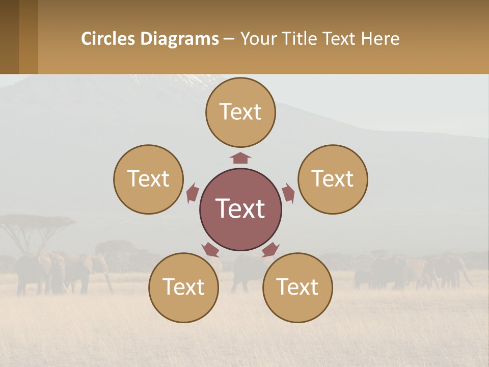 Color Herbivore Matriarch PowerPoint Template