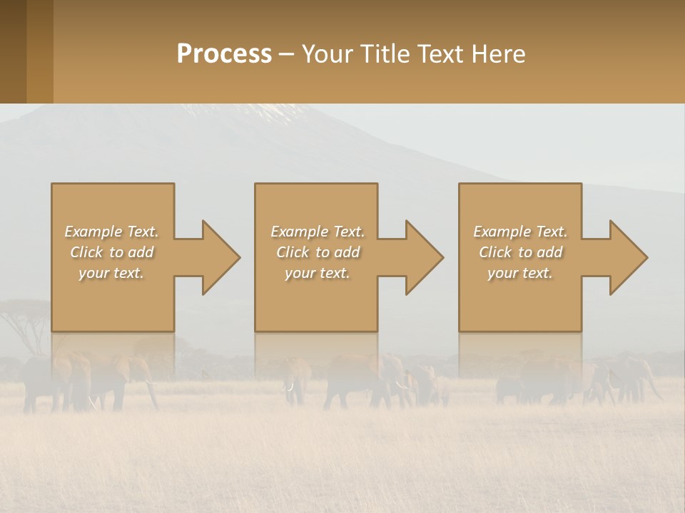 Color Herbivore Matriarch PowerPoint Template