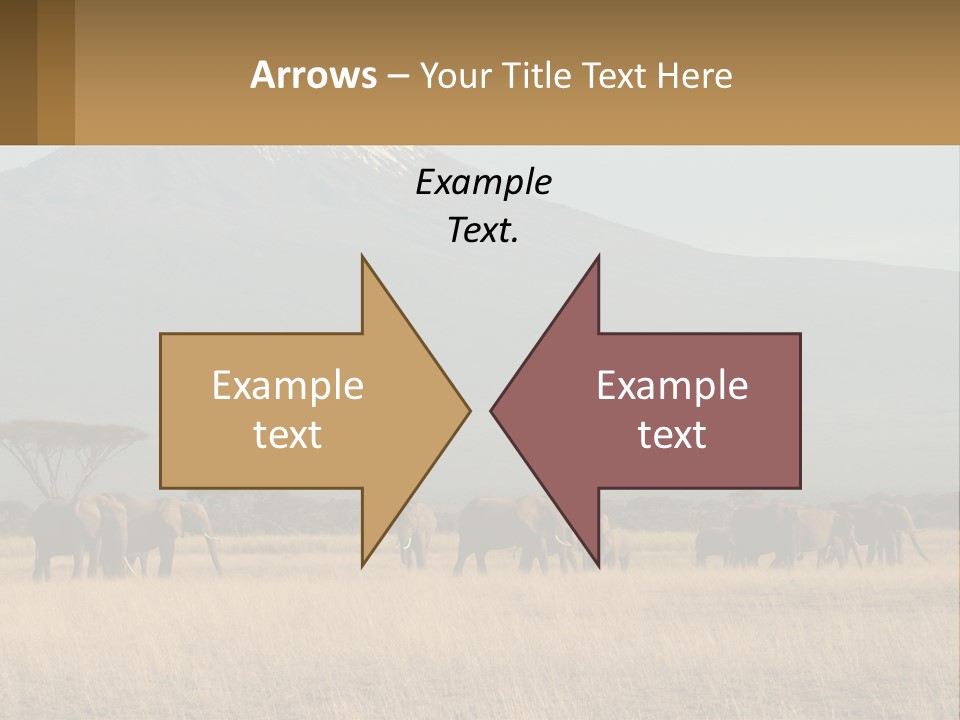 Color Herbivore Matriarch PowerPoint Template