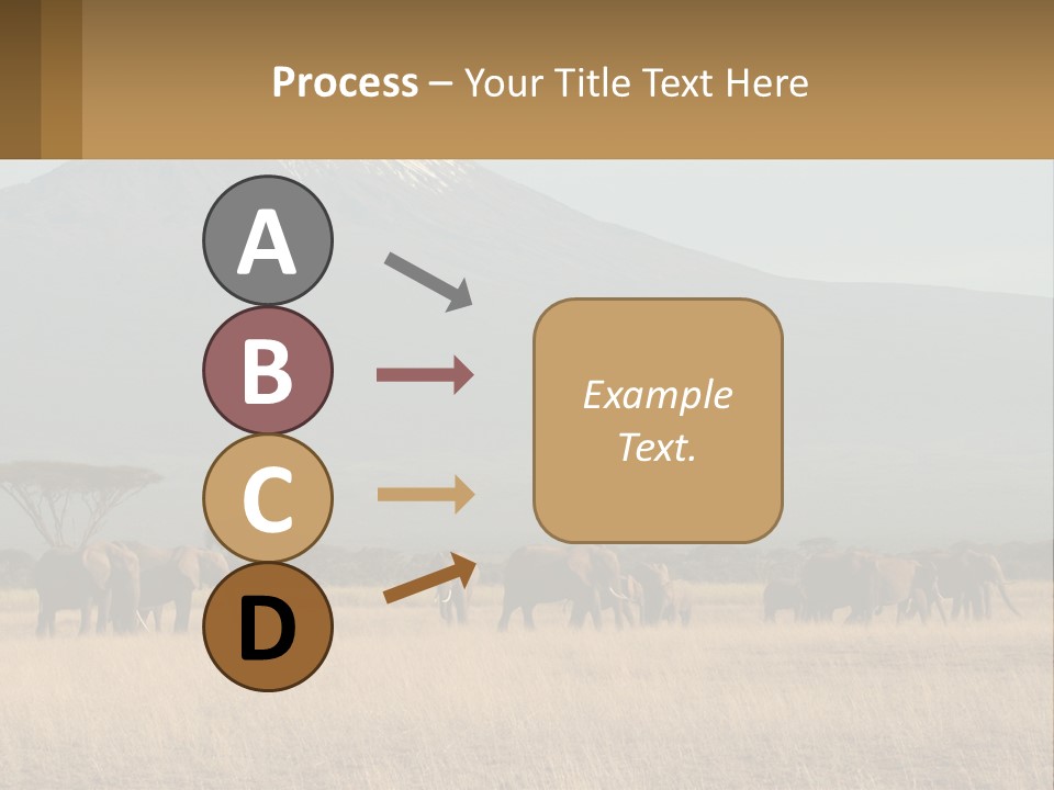 Color Herbivore Matriarch PowerPoint Template