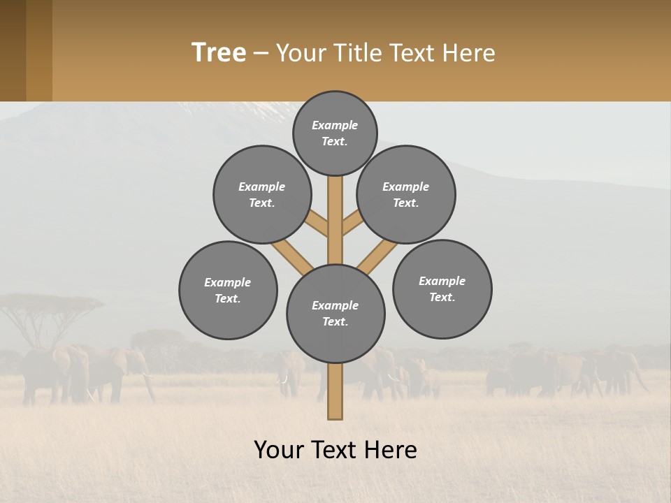 Color Herbivore Matriarch PowerPoint Template