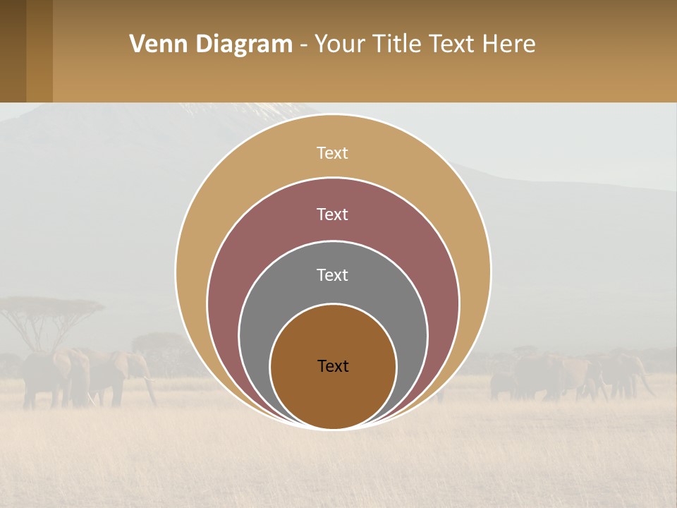 Color Herbivore Matriarch PowerPoint Template