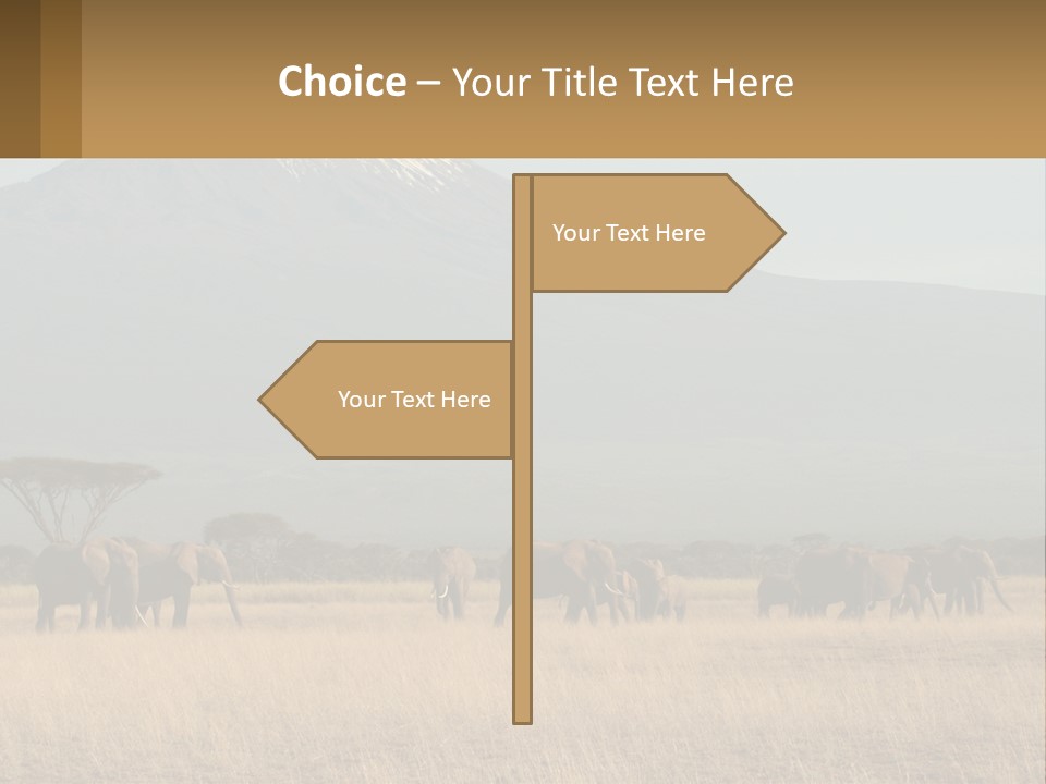 Color Herbivore Matriarch PowerPoint Template