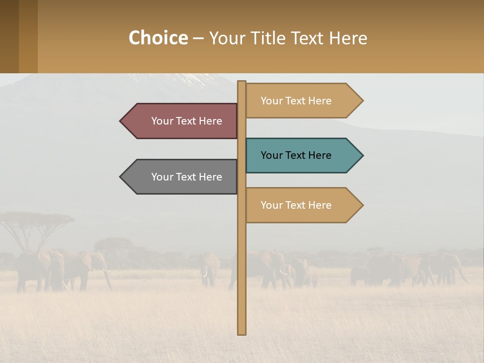 Color Herbivore Matriarch PowerPoint Template