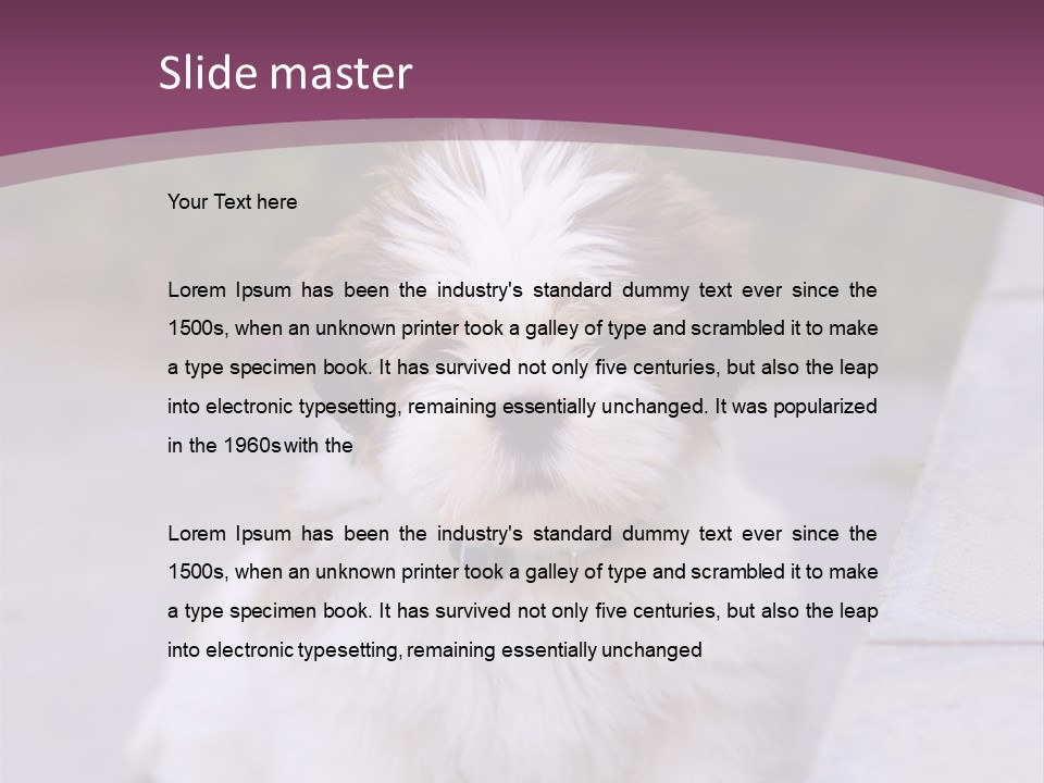 Pet Playful Apso PowerPoint Template