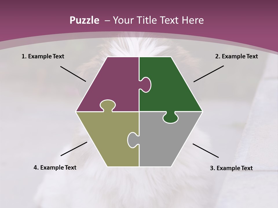 Pet Playful Apso PowerPoint Template