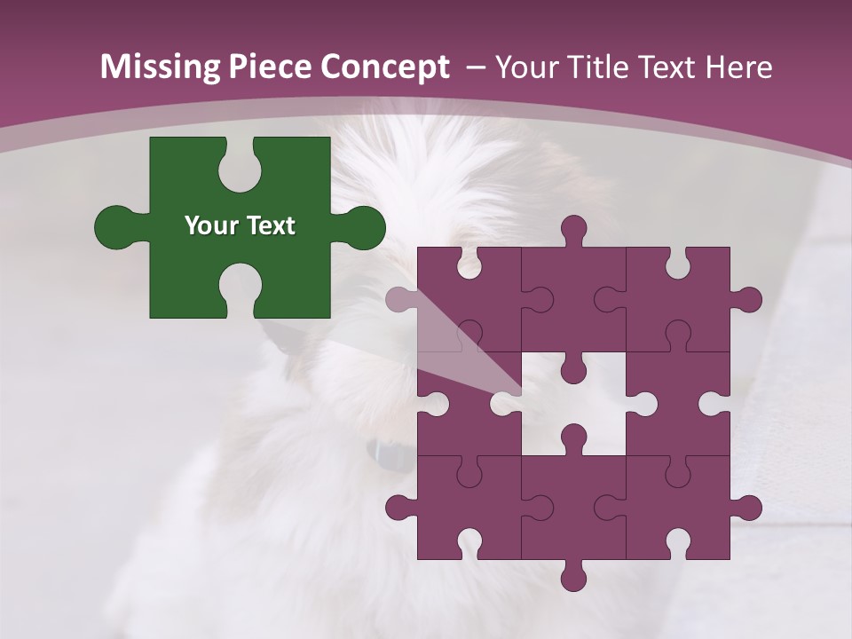 Pet Playful Apso PowerPoint Template