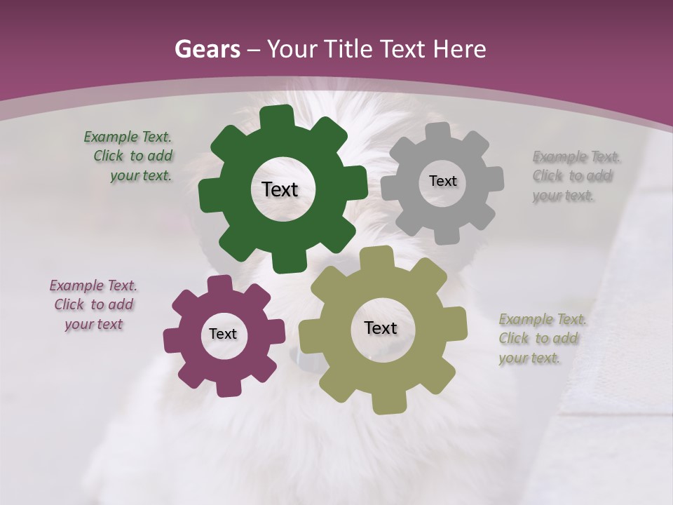 Pet Playful Apso PowerPoint Template