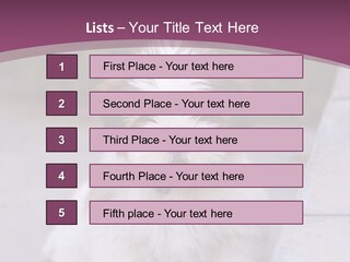 Pet Playful Apso PowerPoint Template