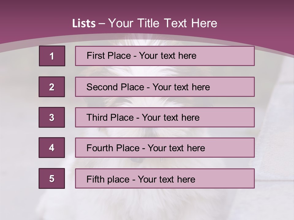 Pet Playful Apso PowerPoint Template