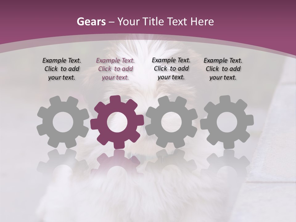 Pet Playful Apso PowerPoint Template
