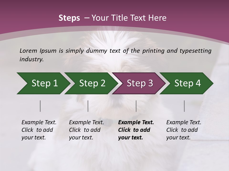 Pet Playful Apso PowerPoint Template