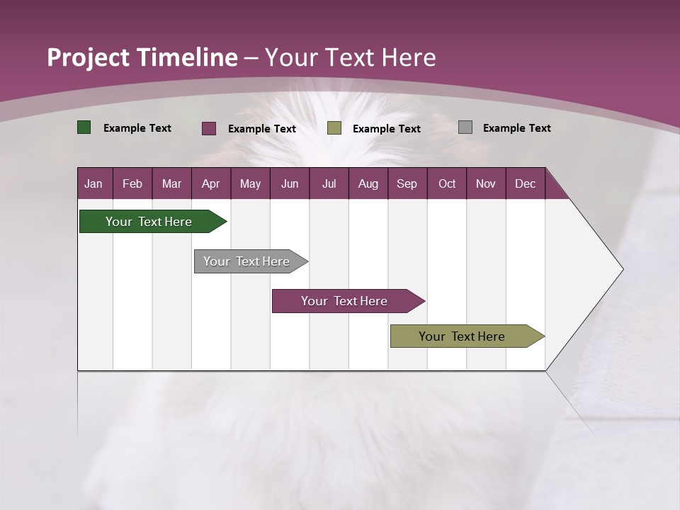 Pet Playful Apso PowerPoint Template