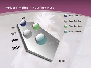 Pet Playful Apso PowerPoint Template