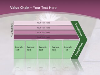 Pet Playful Apso PowerPoint Template