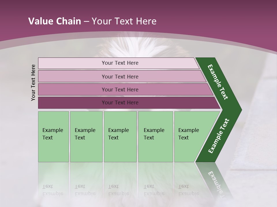 Pet Playful Apso PowerPoint Template