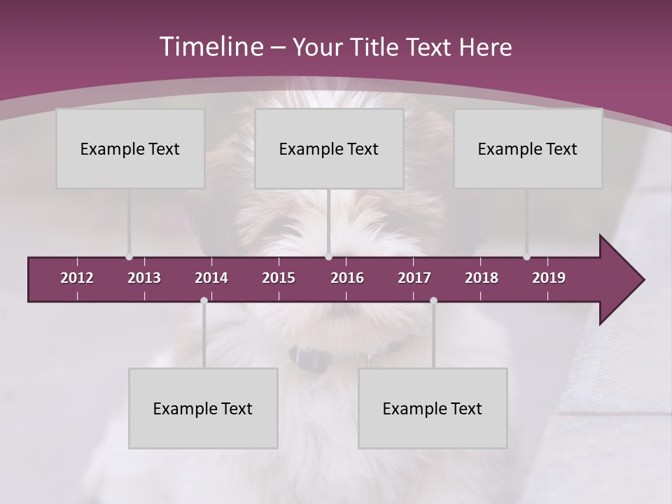 Pet Playful Apso PowerPoint Template