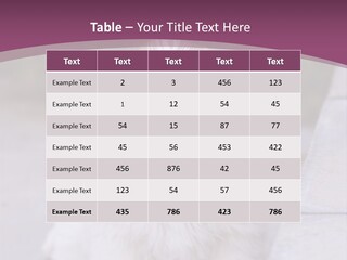Pet Playful Apso PowerPoint Template