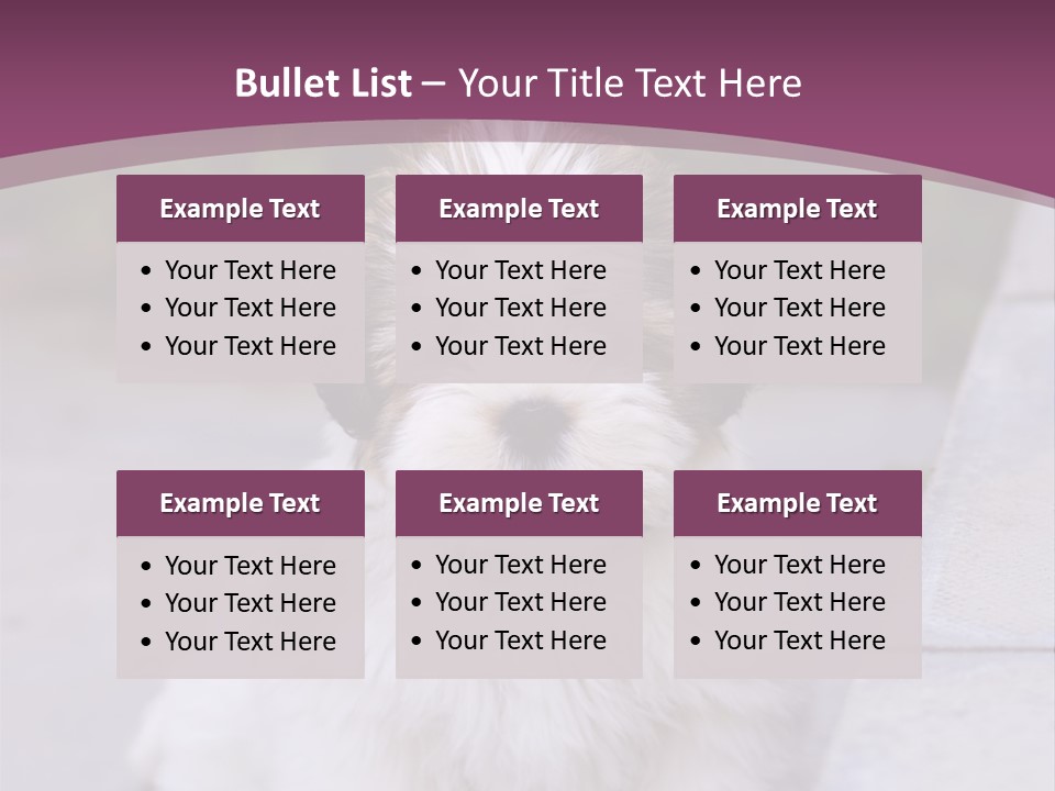 Pet Playful Apso PowerPoint Template