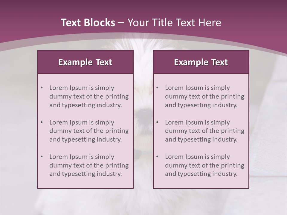 Pet Playful Apso PowerPoint Template