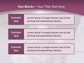 Pet Playful Apso PowerPoint Template