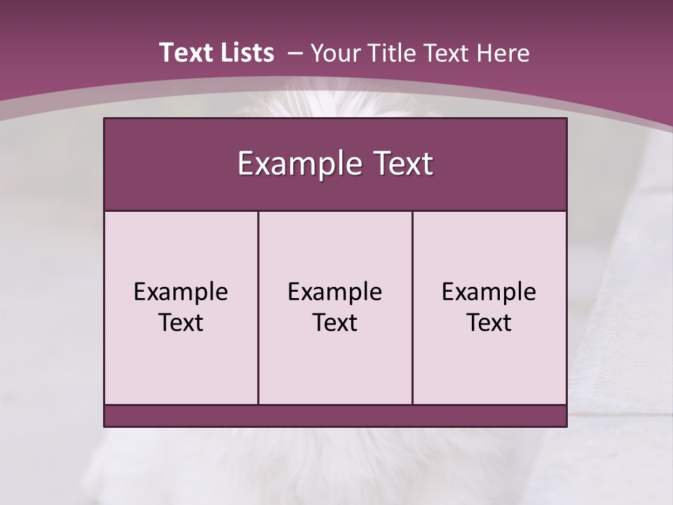 Pet Playful Apso PowerPoint Template