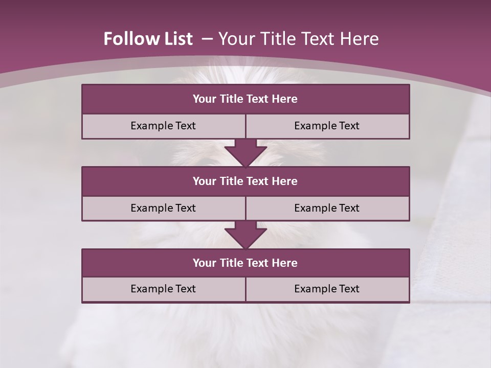 Pet Playful Apso PowerPoint Template