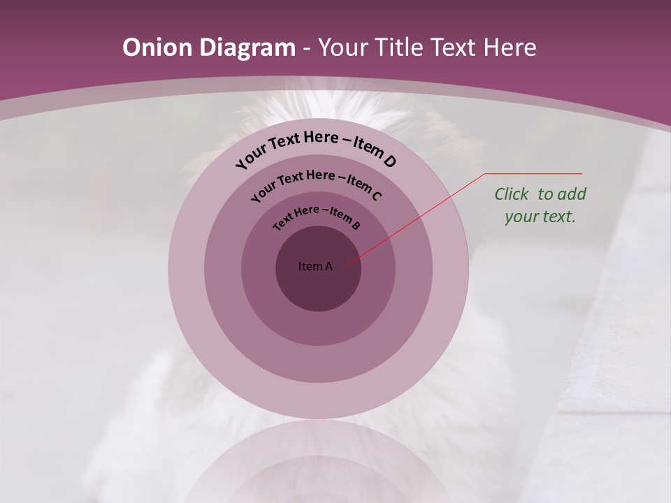 Pet Playful Apso PowerPoint Template