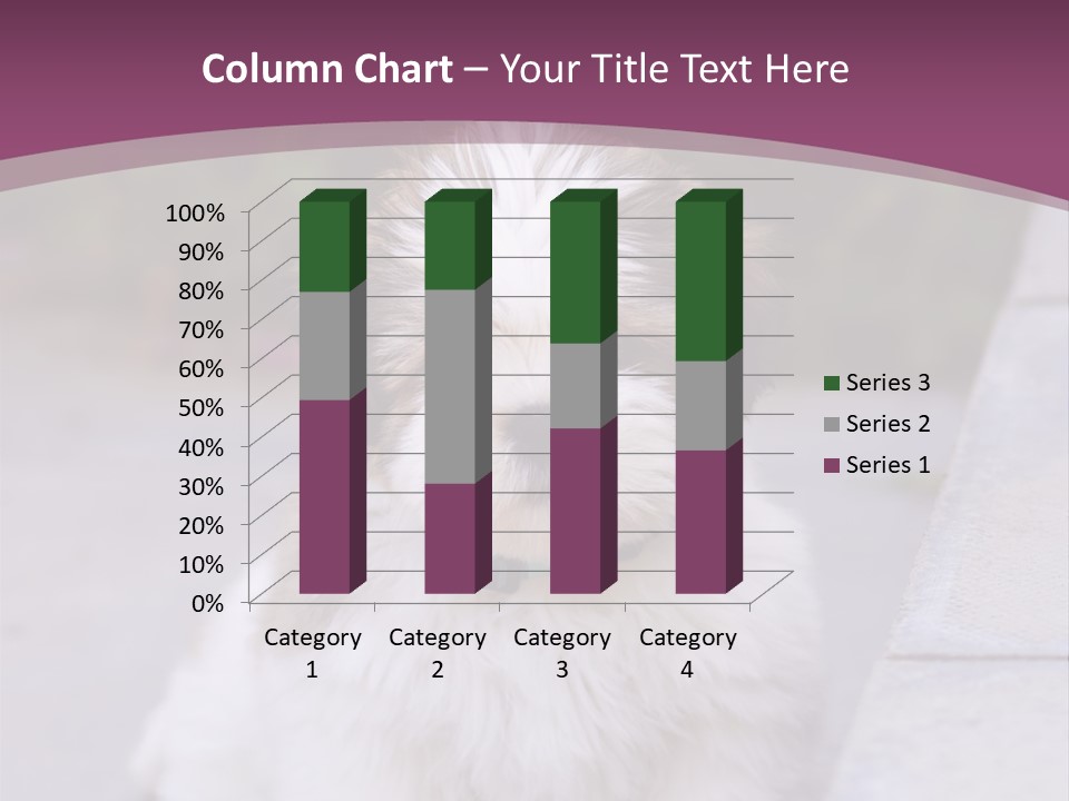 Pet Playful Apso PowerPoint Template