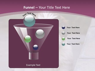 Pet Playful Apso PowerPoint Template