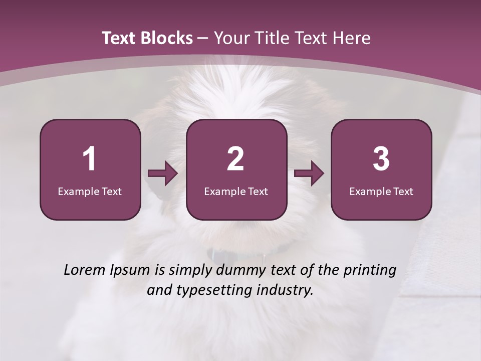 Pet Playful Apso PowerPoint Template