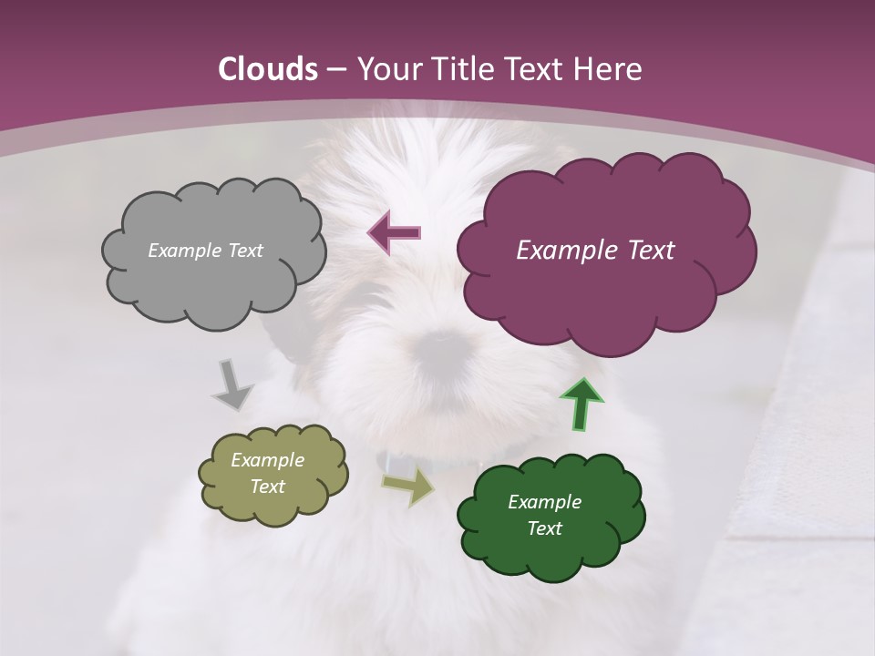 Pet Playful Apso PowerPoint Template