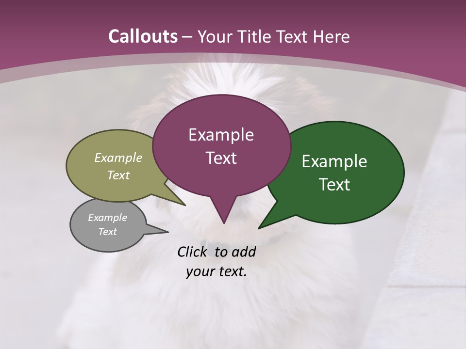 Pet Playful Apso PowerPoint Template