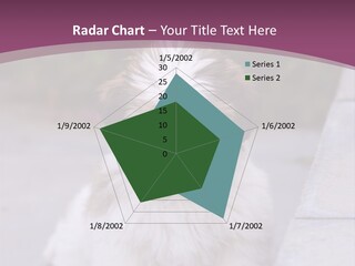 Pet Playful Apso PowerPoint Template