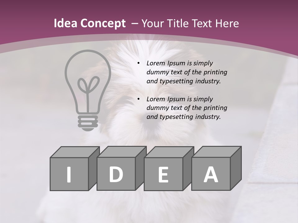 Pet Playful Apso PowerPoint Template