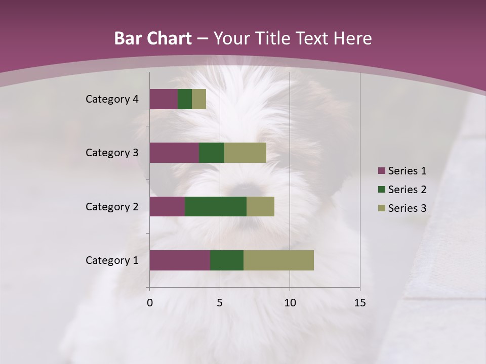 Pet Playful Apso PowerPoint Template