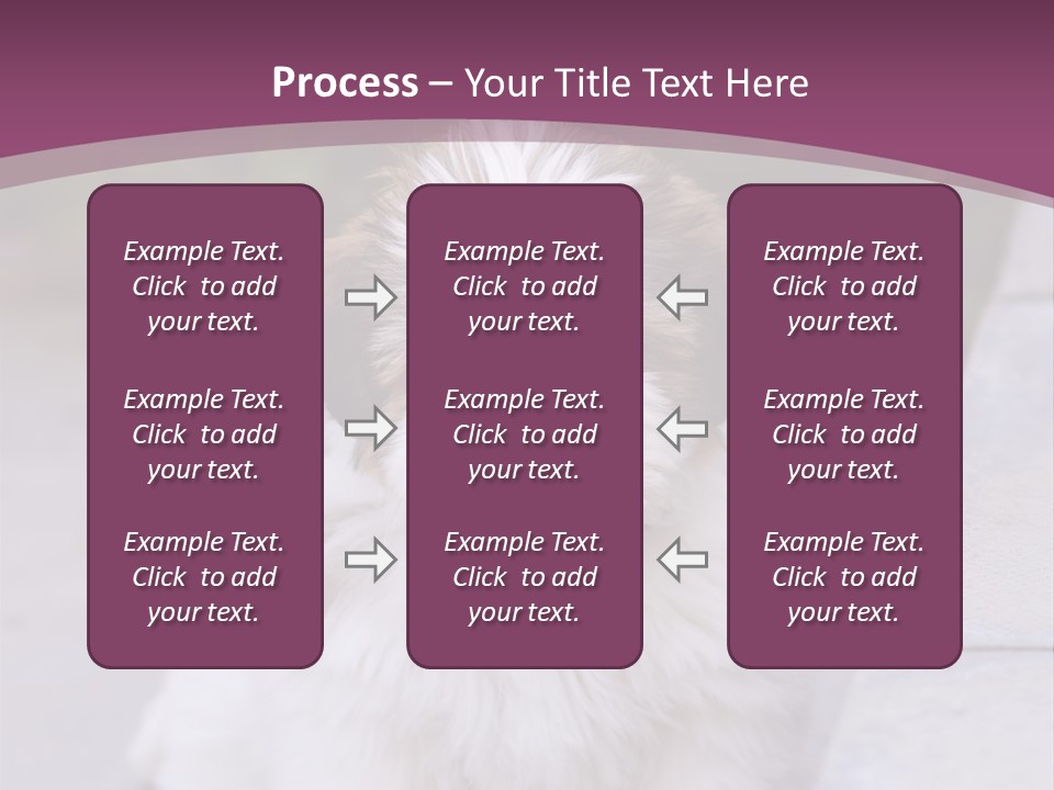 Pet Playful Apso PowerPoint Template