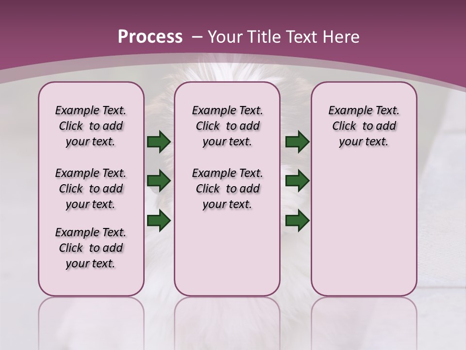 Pet Playful Apso PowerPoint Template