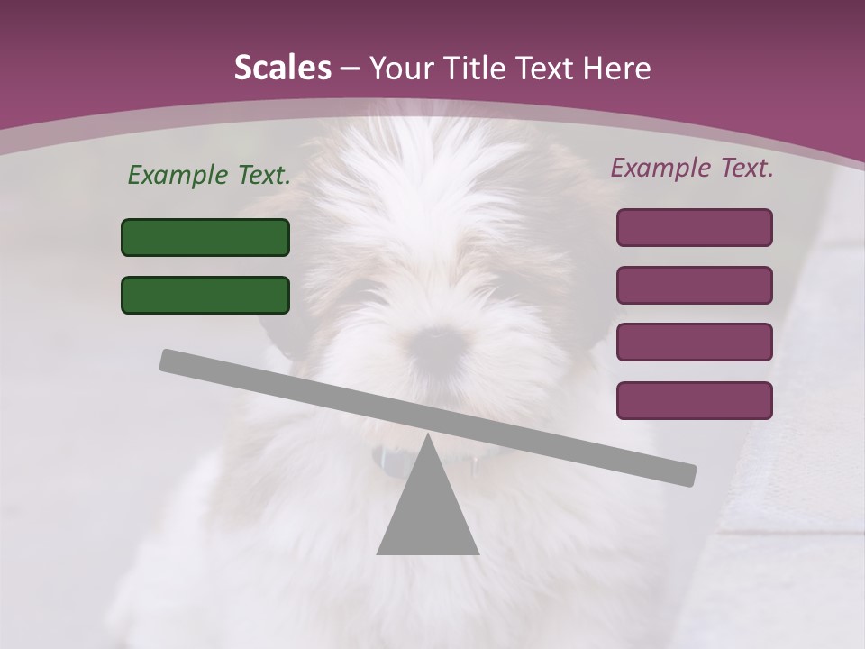 Pet Playful Apso PowerPoint Template
