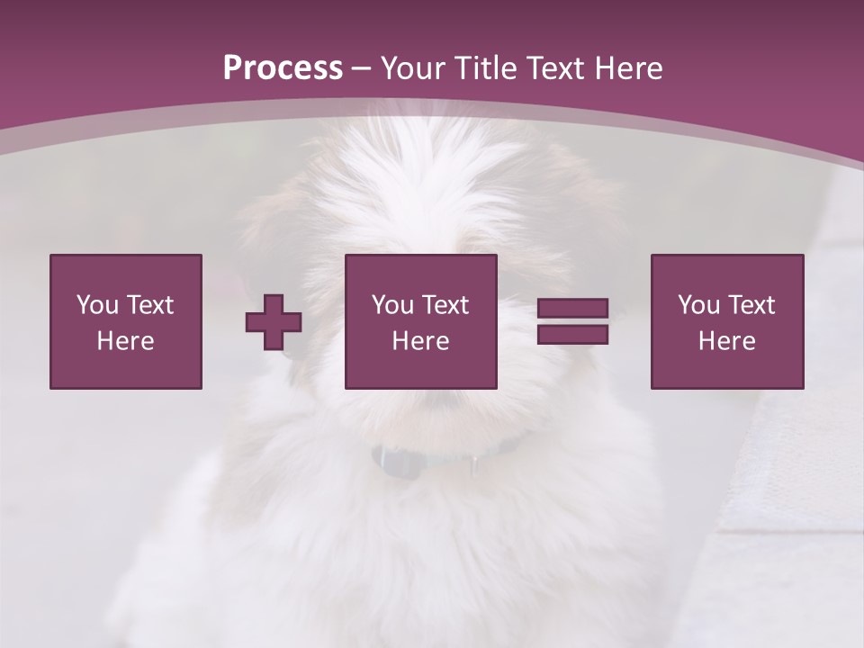 Pet Playful Apso PowerPoint Template
