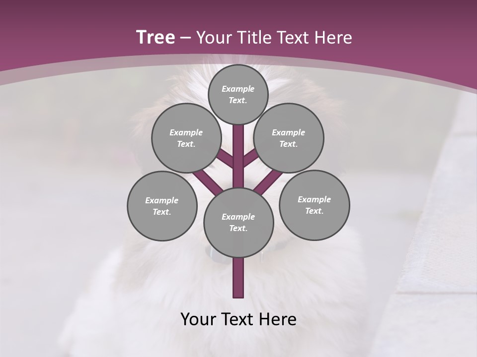 Pet Playful Apso PowerPoint Template