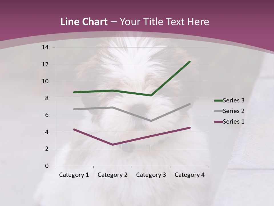 Pet Playful Apso PowerPoint Template