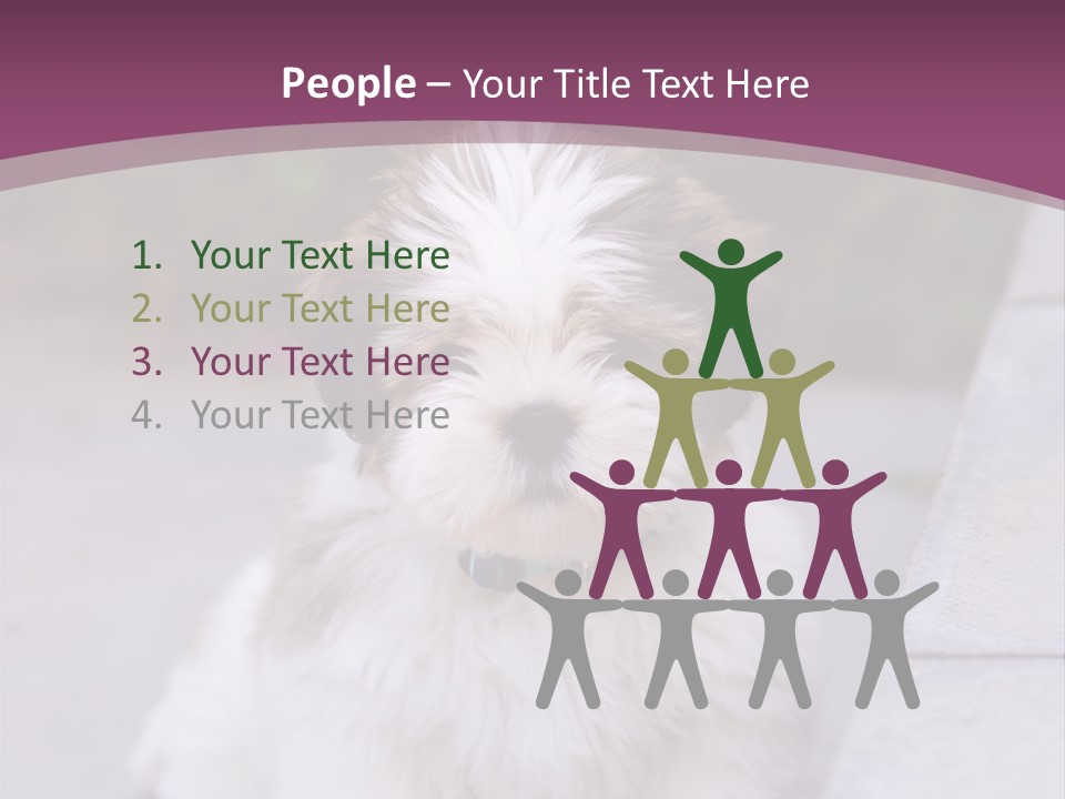 Pet Playful Apso PowerPoint Template