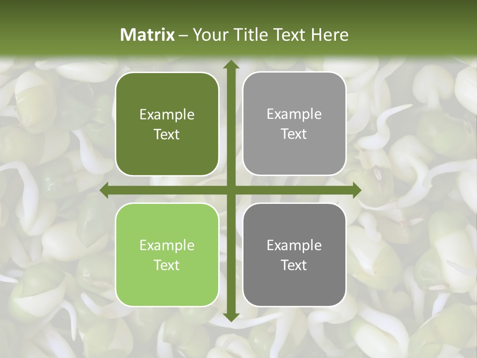 Wellness Germinate Mungo PowerPoint Template