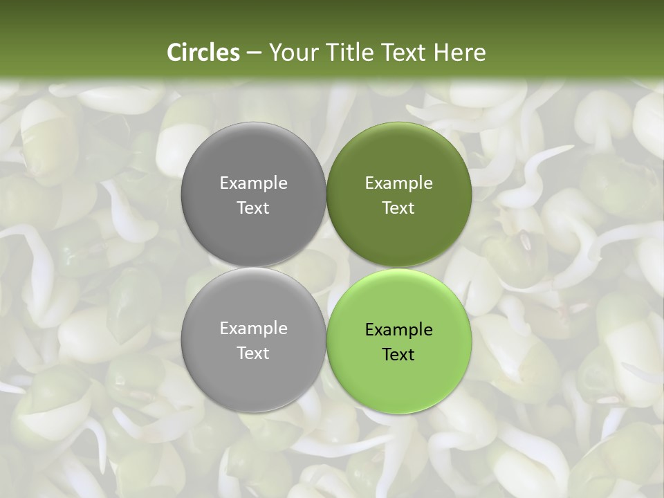 Wellness Germinate Mungo PowerPoint Template