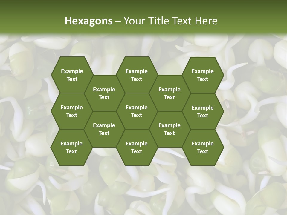 Wellness Germinate Mungo PowerPoint Template