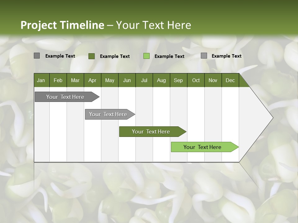 Wellness Germinate Mungo PowerPoint Template